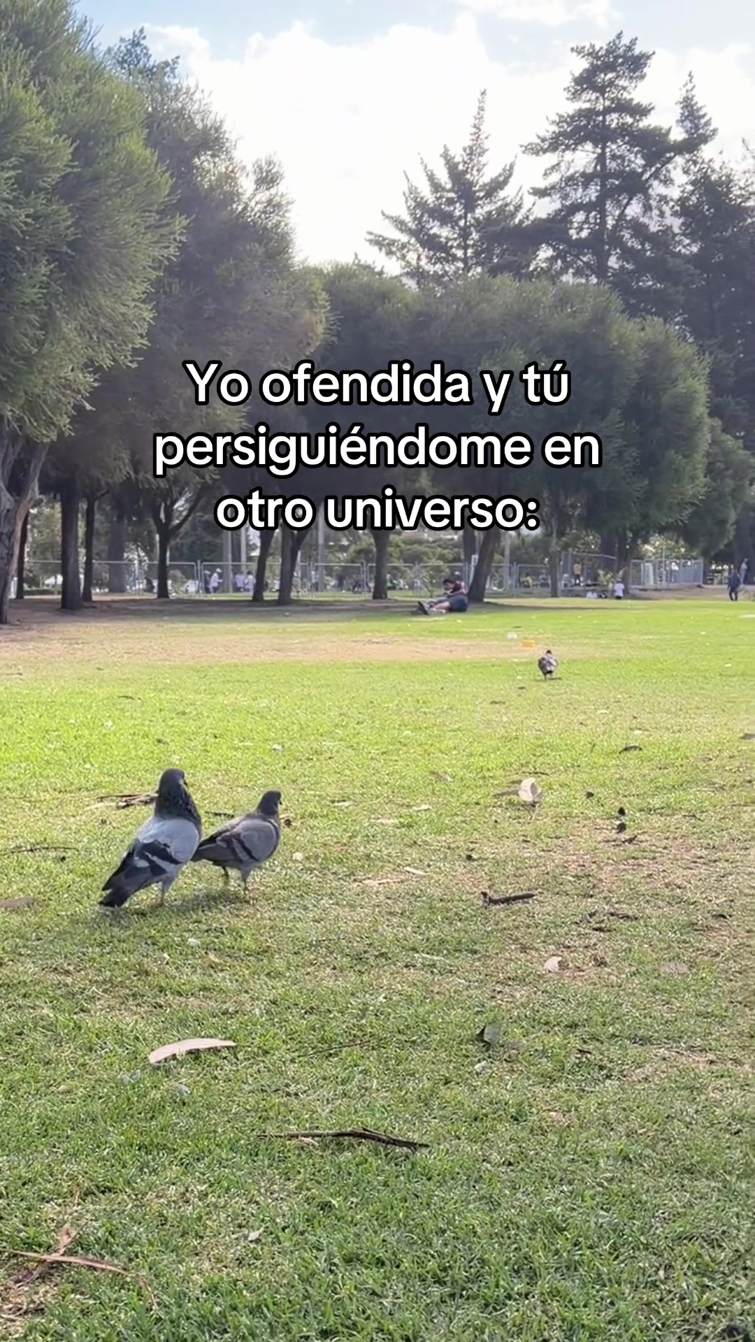 @xavi.mv