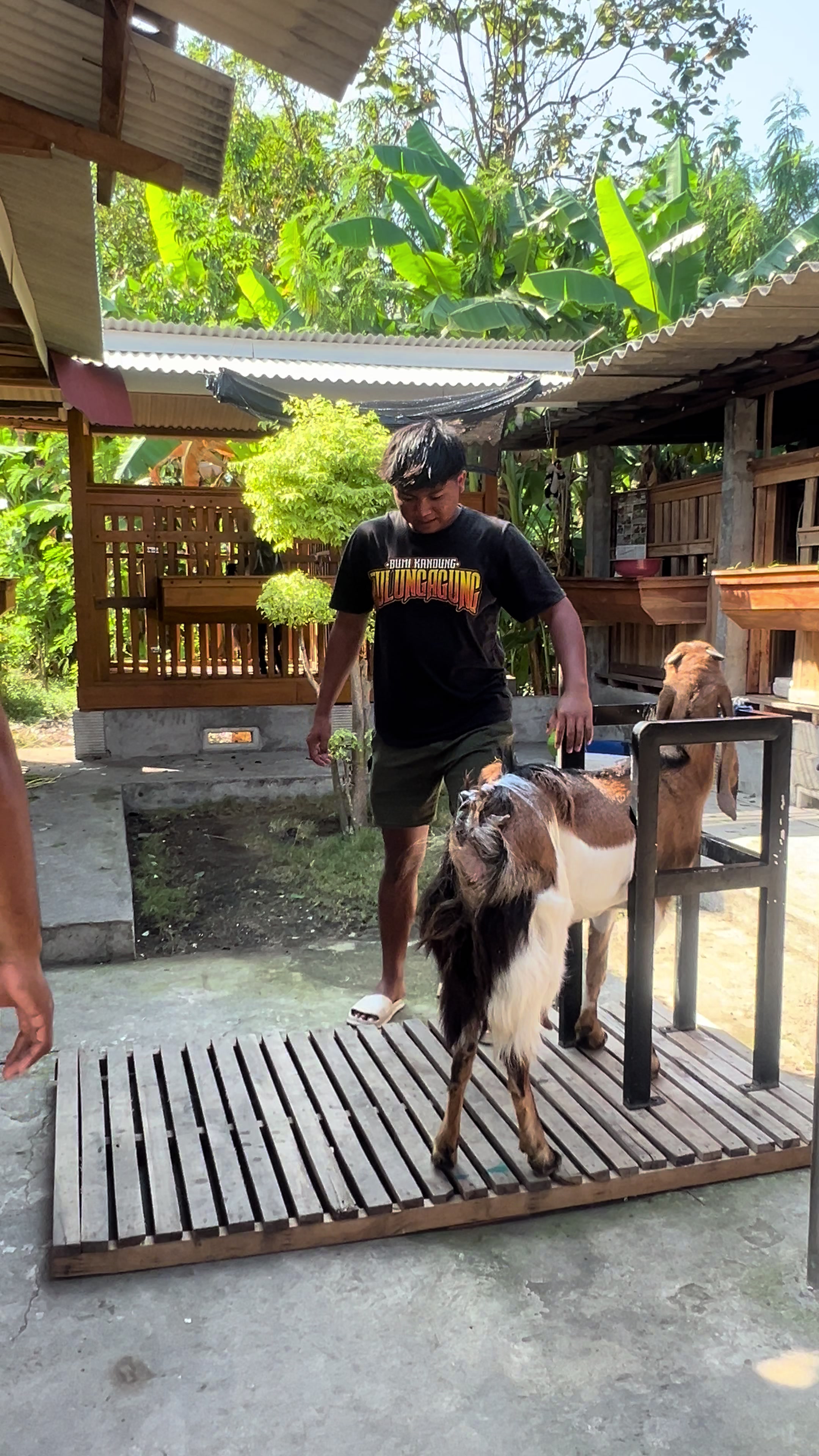 @BRIAN FARM