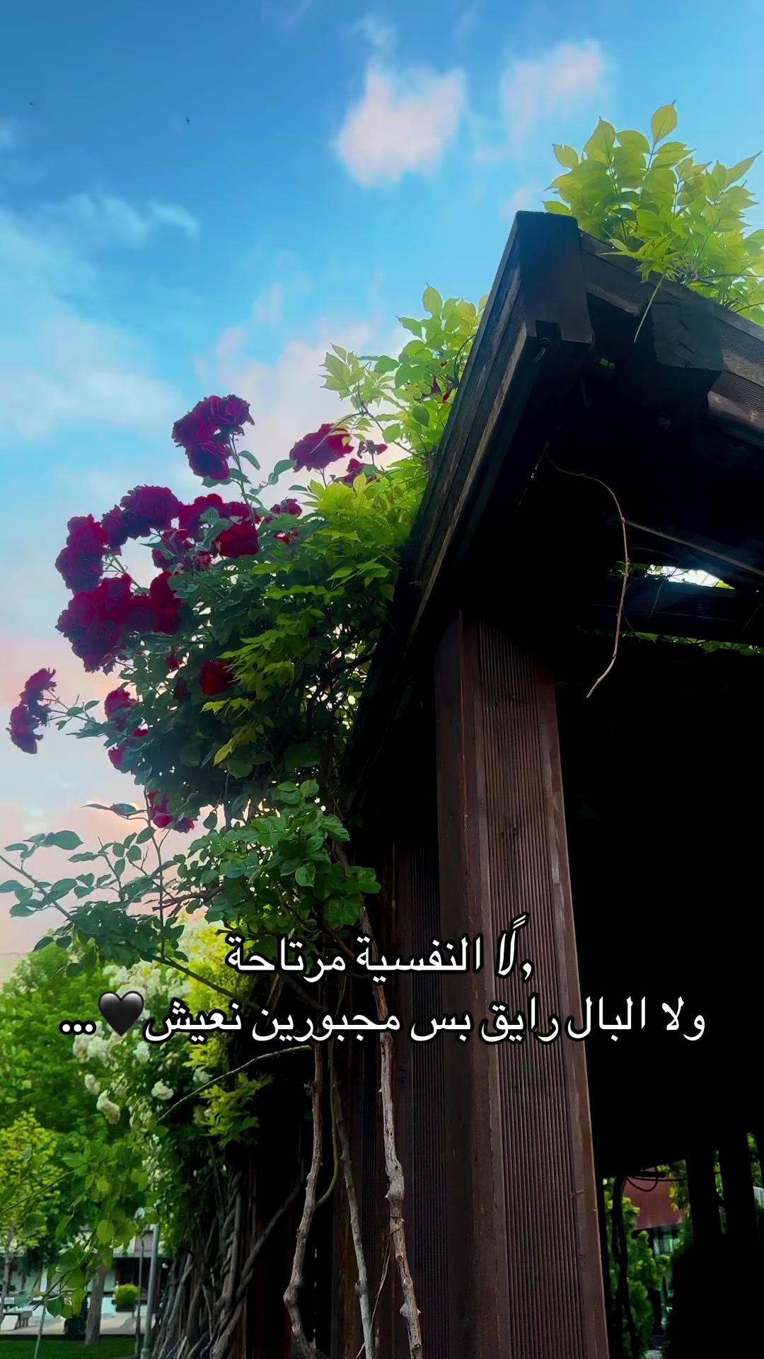 @Muhammedً