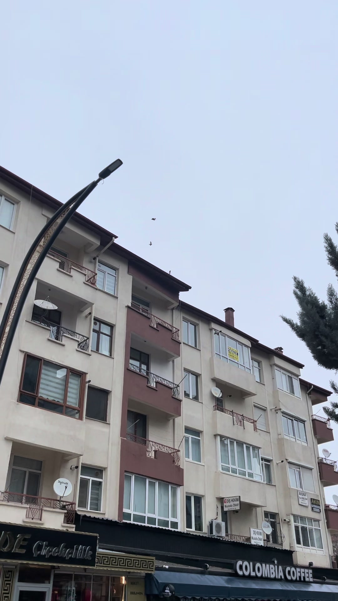 @𝓔. 𝓔𝓼𝓮𝓻 🦅