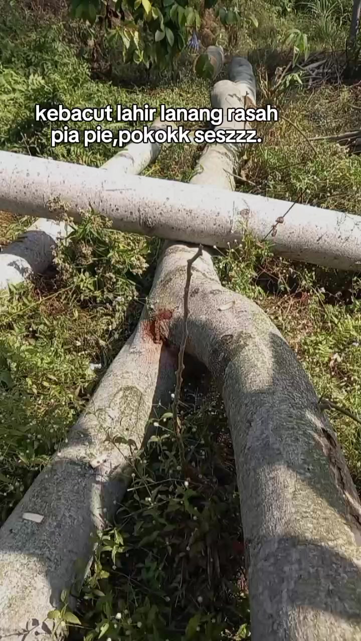 @nandriyanto0
