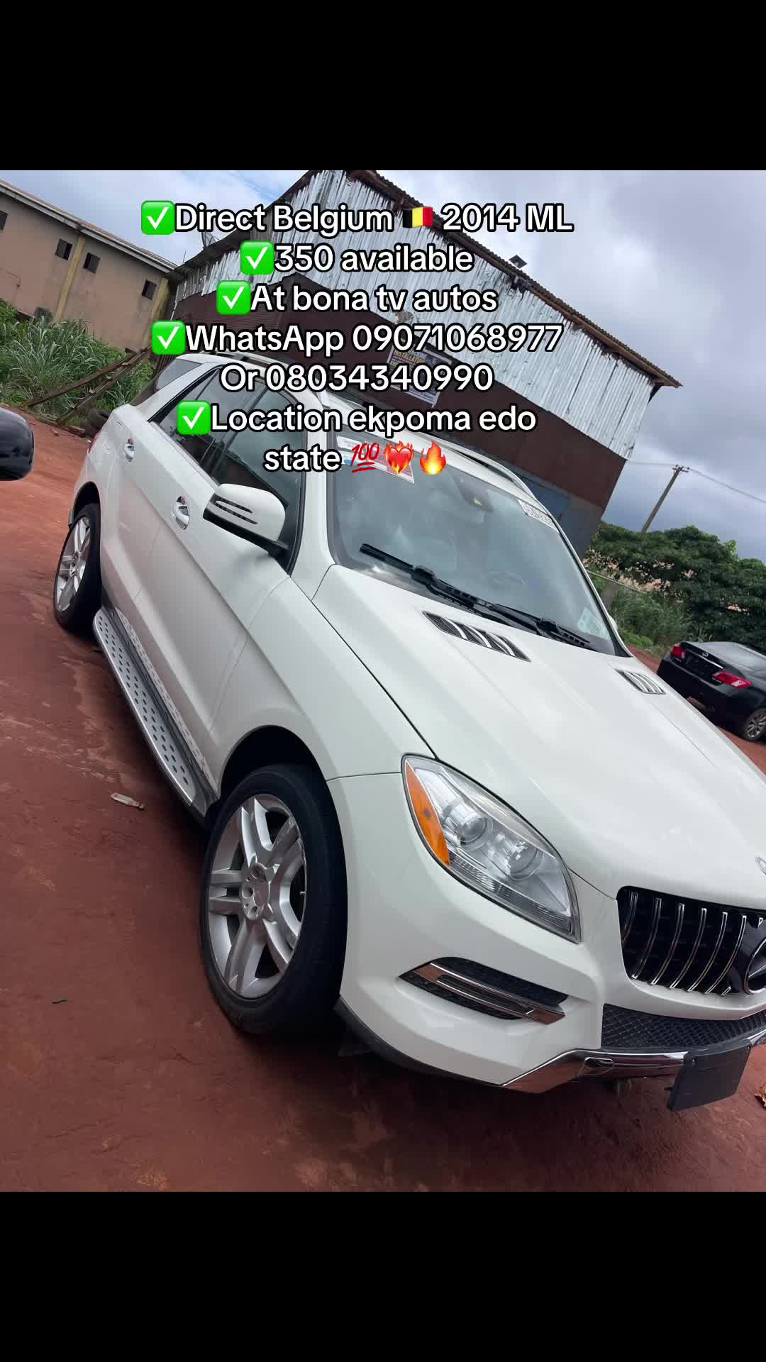 @bona tv Autos