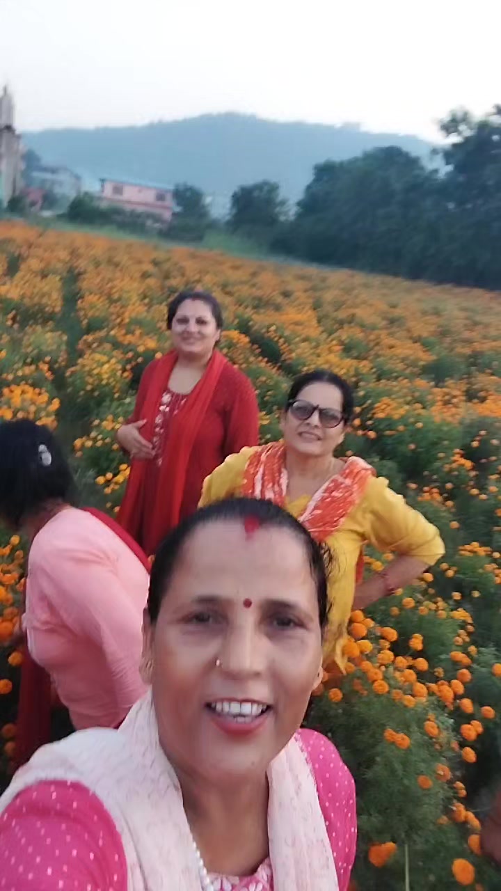 @Saraswati Lamsal Pok