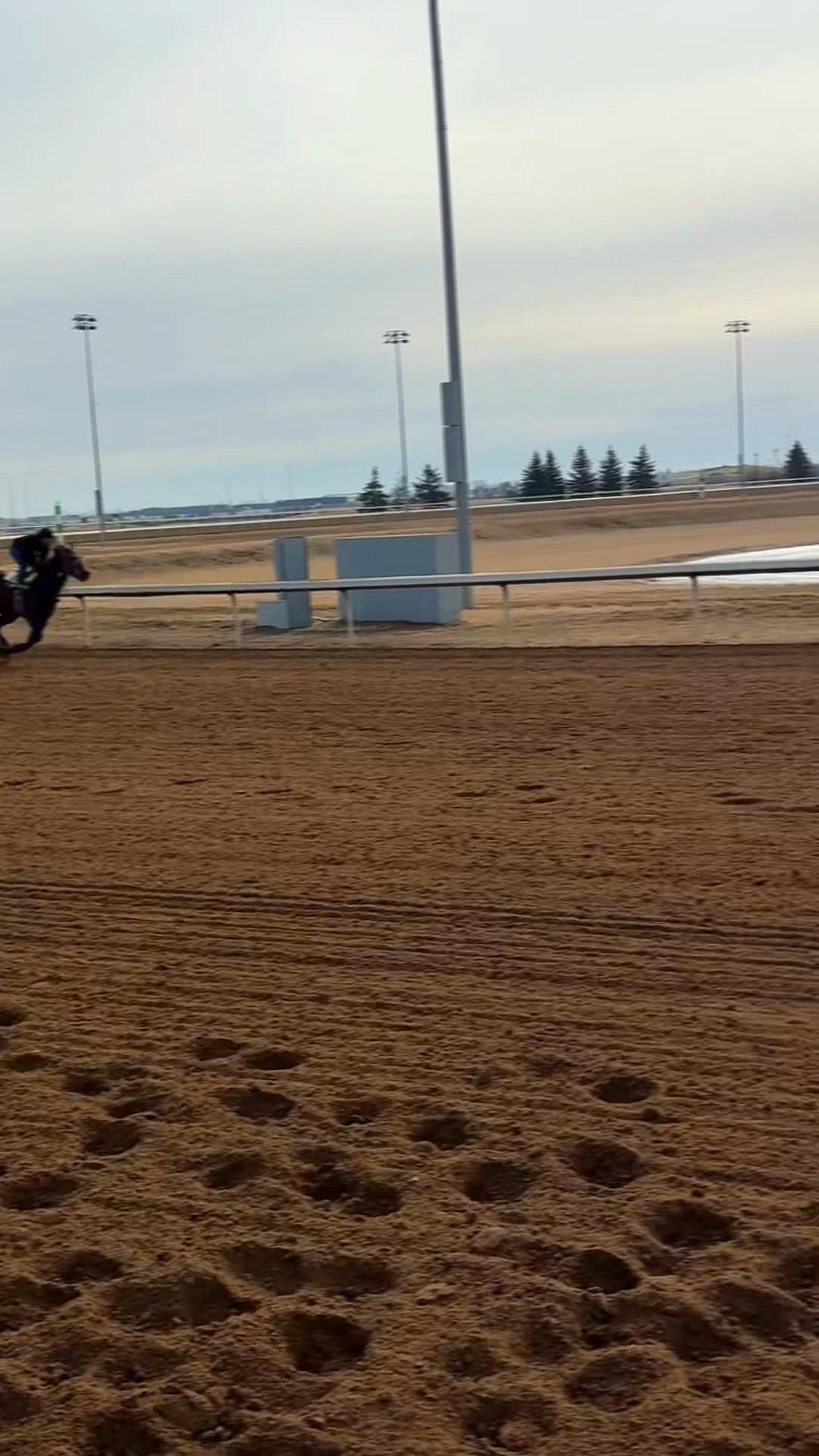 @HBPA of Alberta