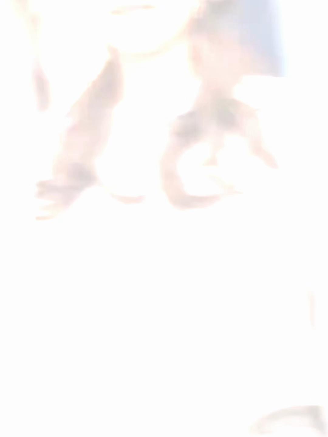 @𝐂𝐡𝐚𝐫𝐮🇯🇵🛠️