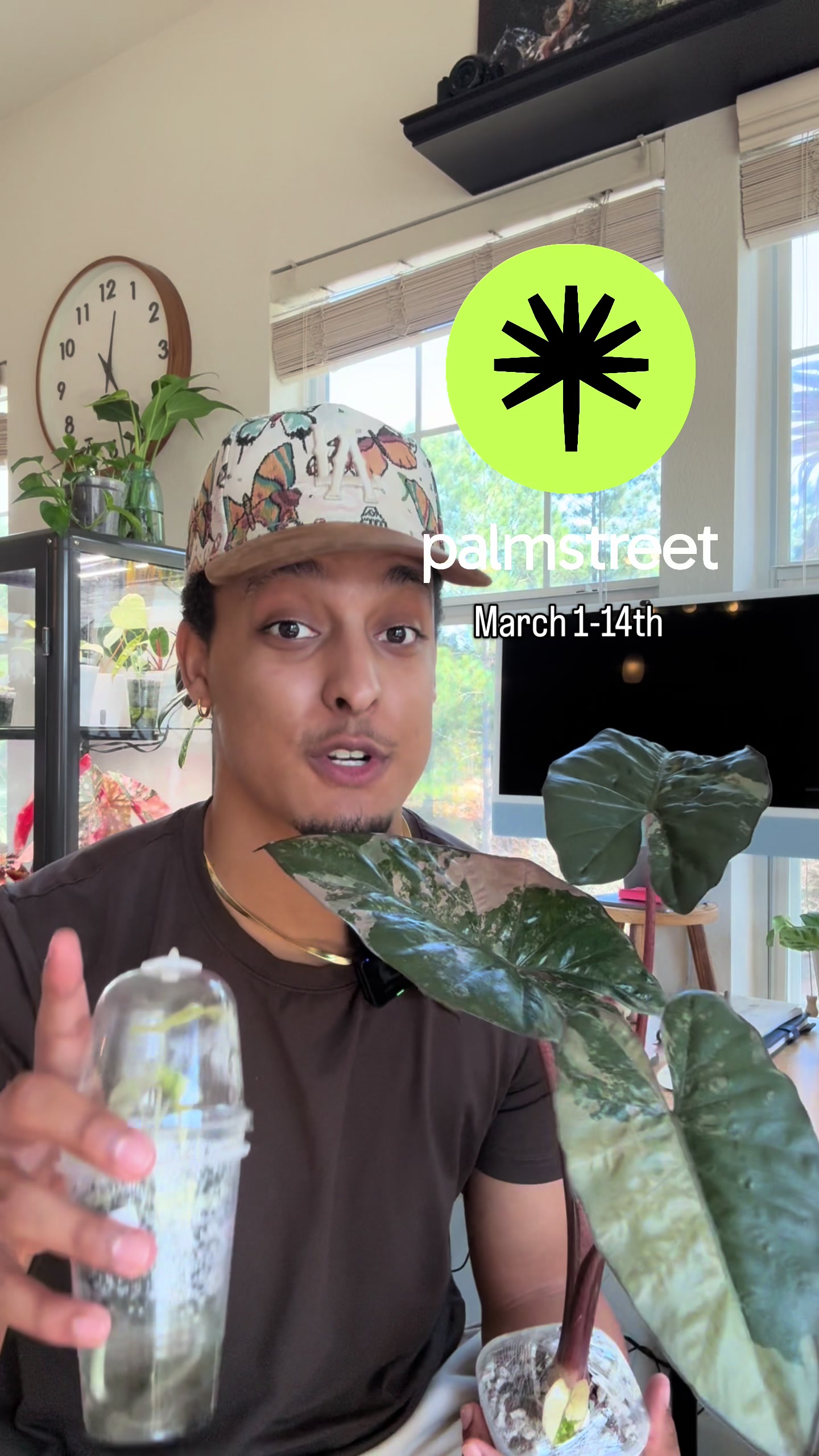 @RarePlantNinja