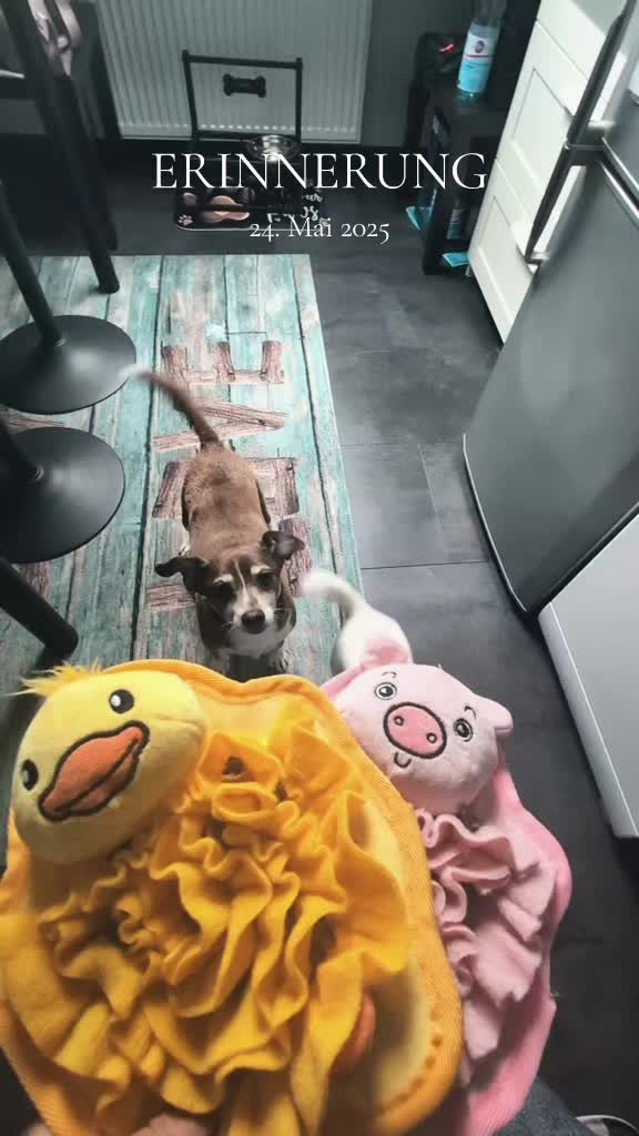 @🩷Mädels💜Trio❤️