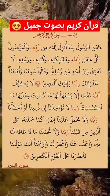 @Nesrine Guendouz