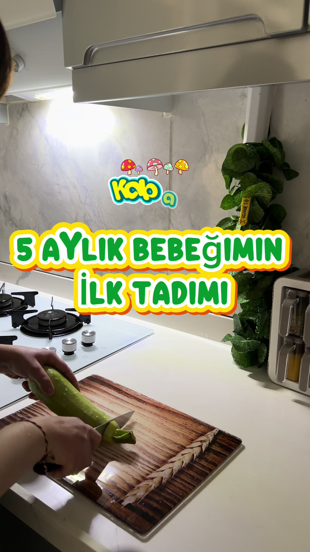 @yasminellan