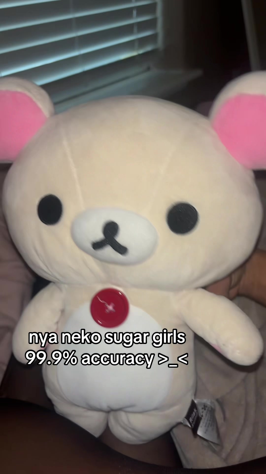 @rakuchanandkonekochan