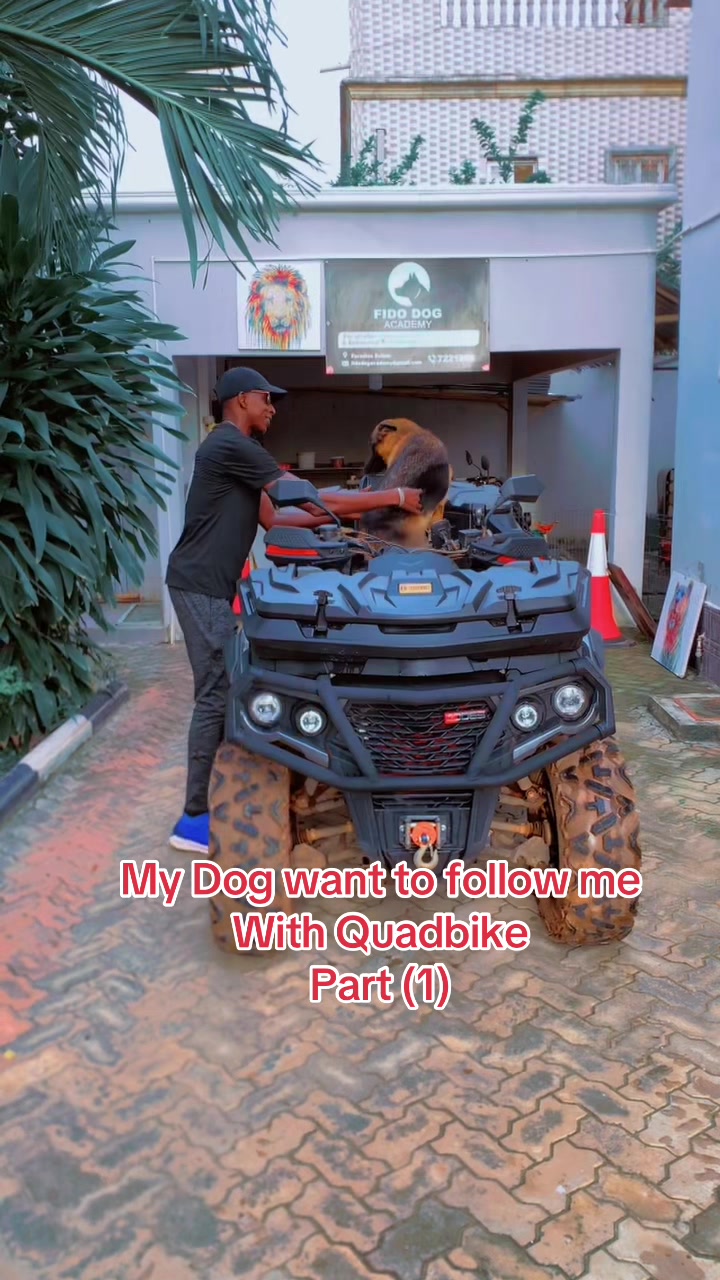 @Dog Master