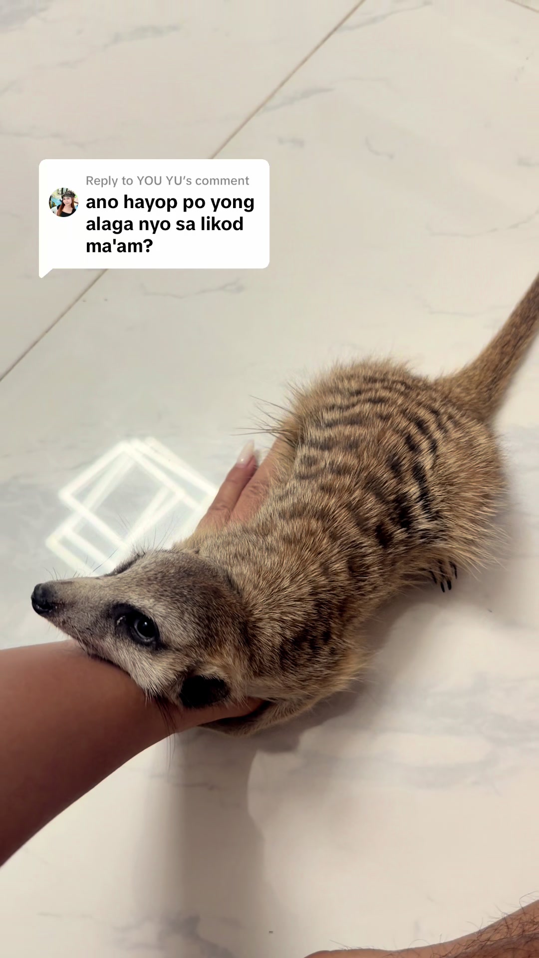 @MS.IGADO❤️