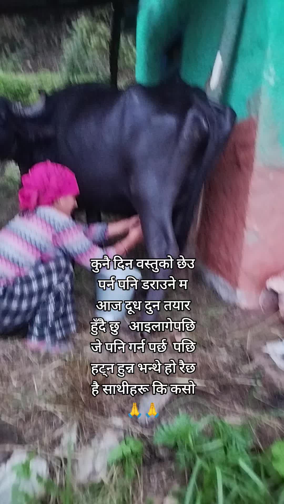 @Ranjana Bhandari