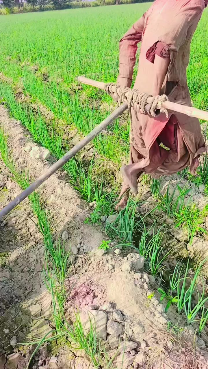 @zawar Fayaz Ali Zardari
