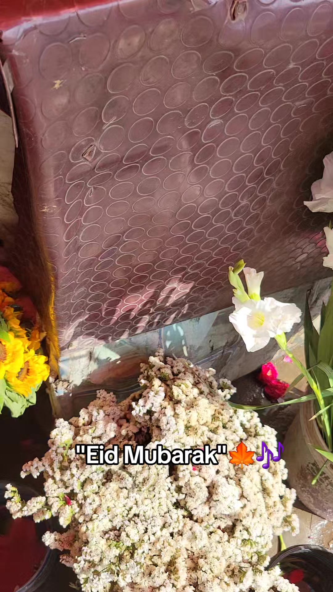 @SyedMehraliSMH