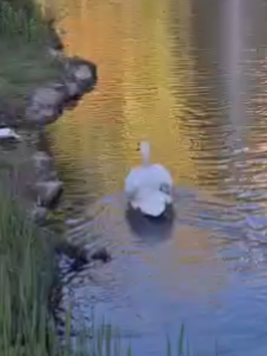 @𝗠𝗮𝗿𝗰𝗶𝗻 𝗗𝗮𝗶𝗹𝘆 🇩🇪