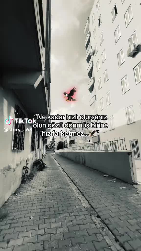 @Ramazan Gümüş