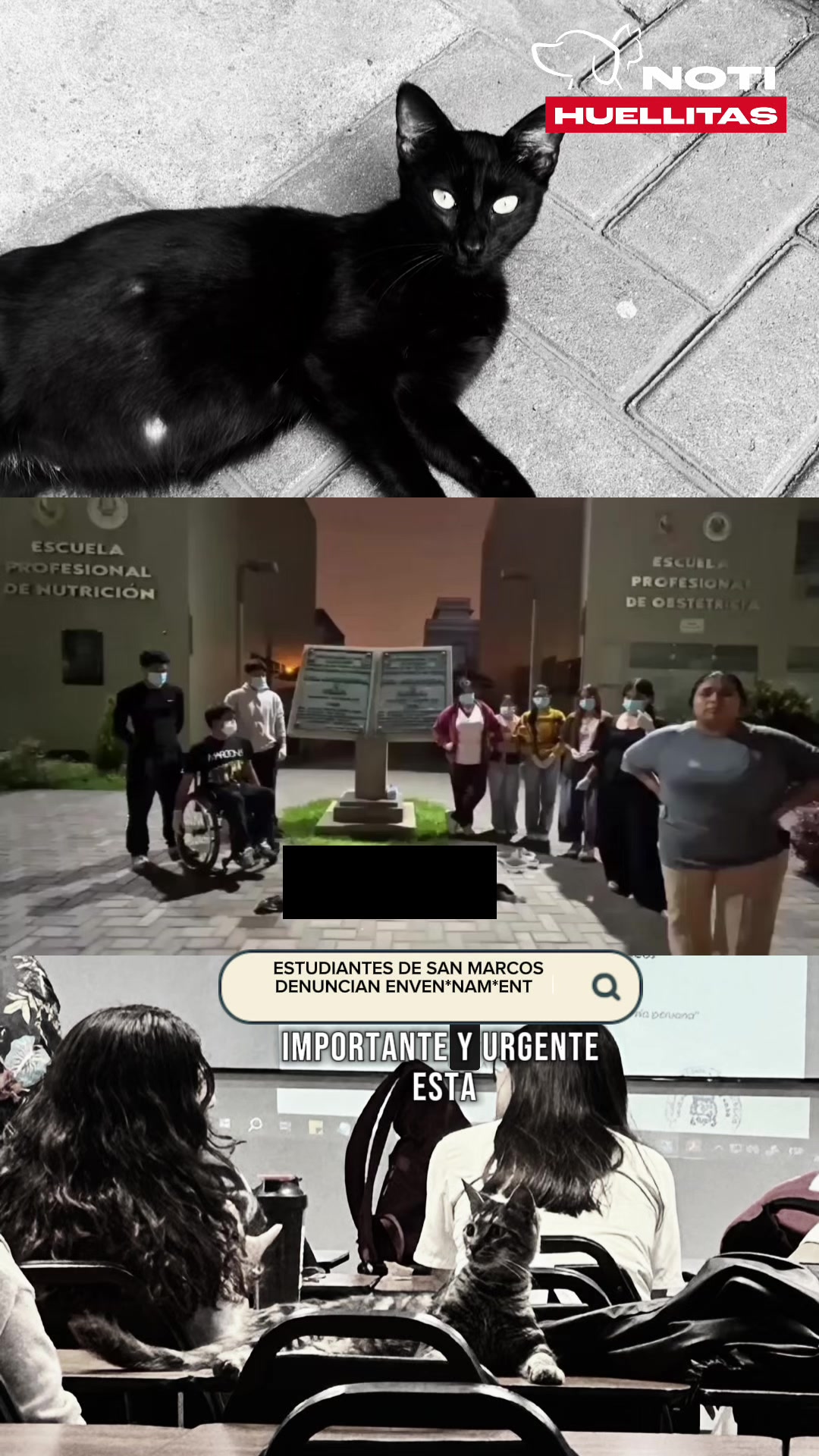 @El chico de las noticias