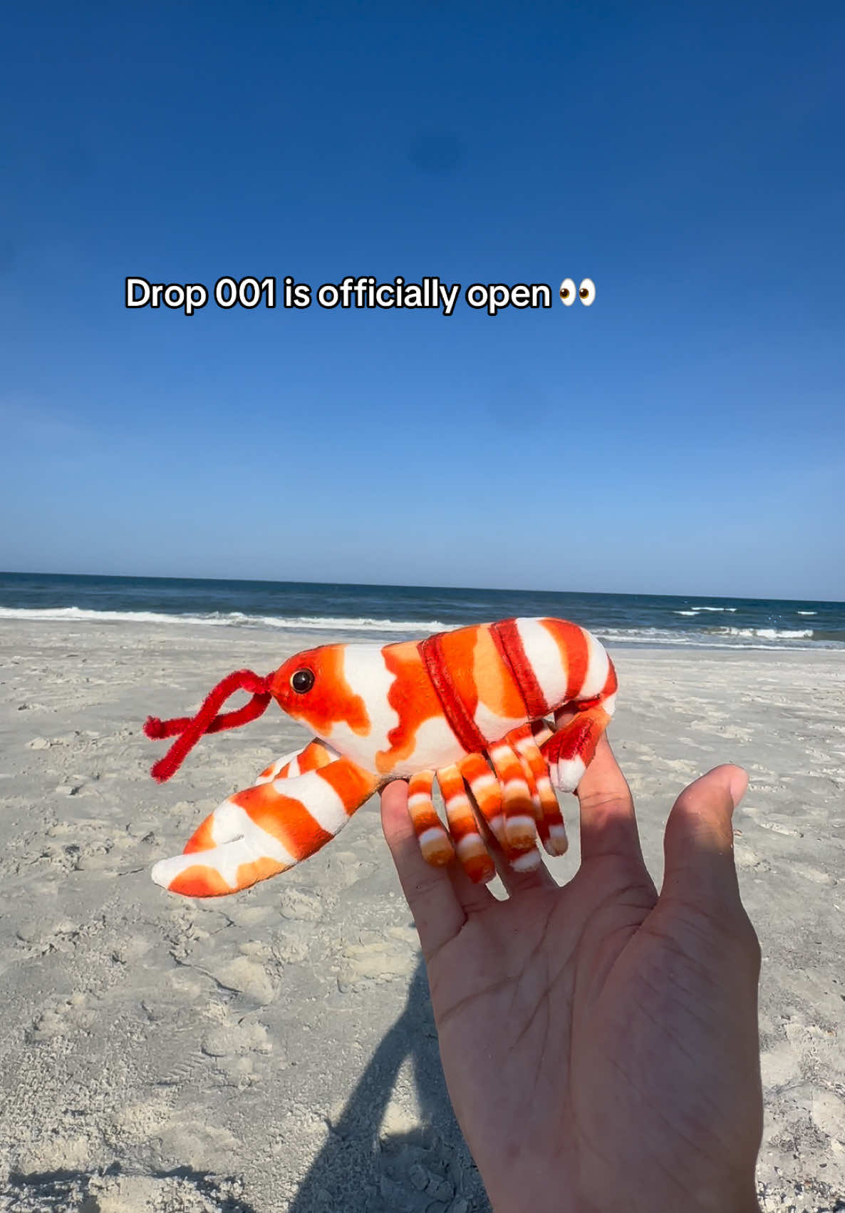 @ReefSync