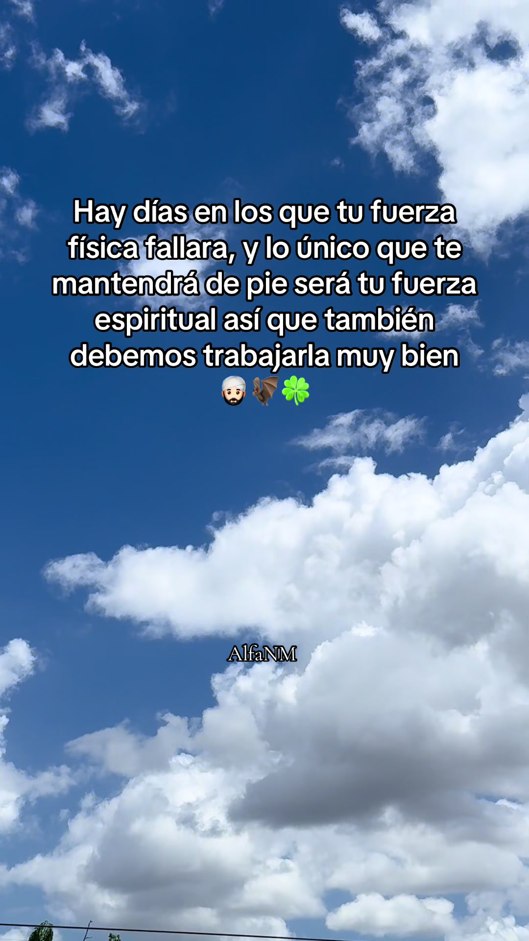 @AlfaNM.