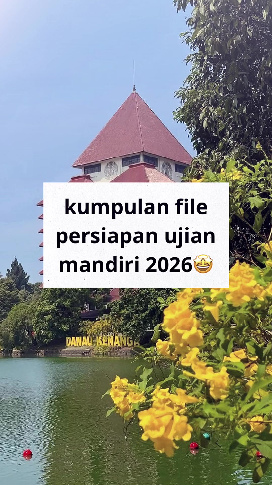 @ambis.ptn