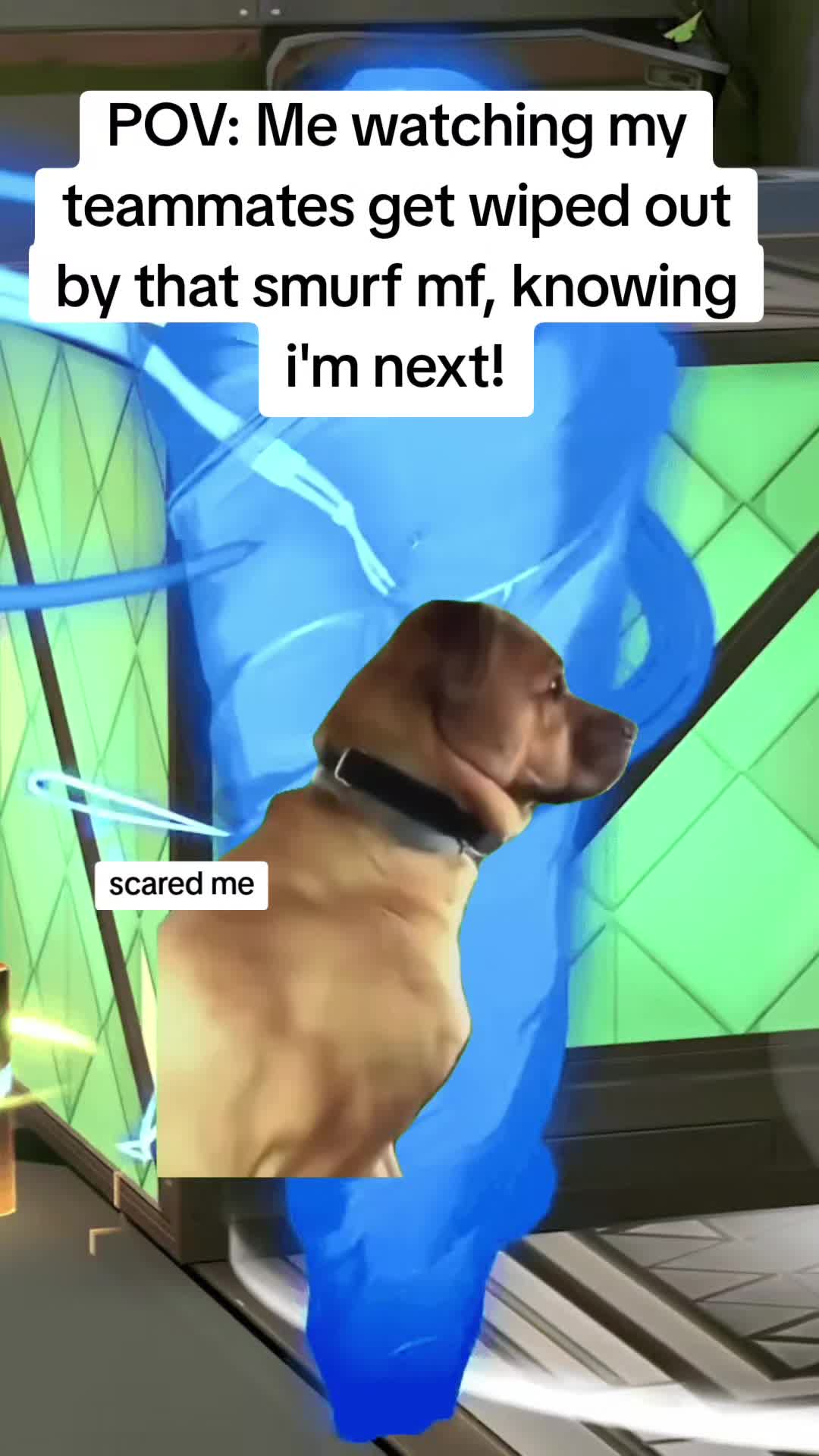 @Scoobydouby