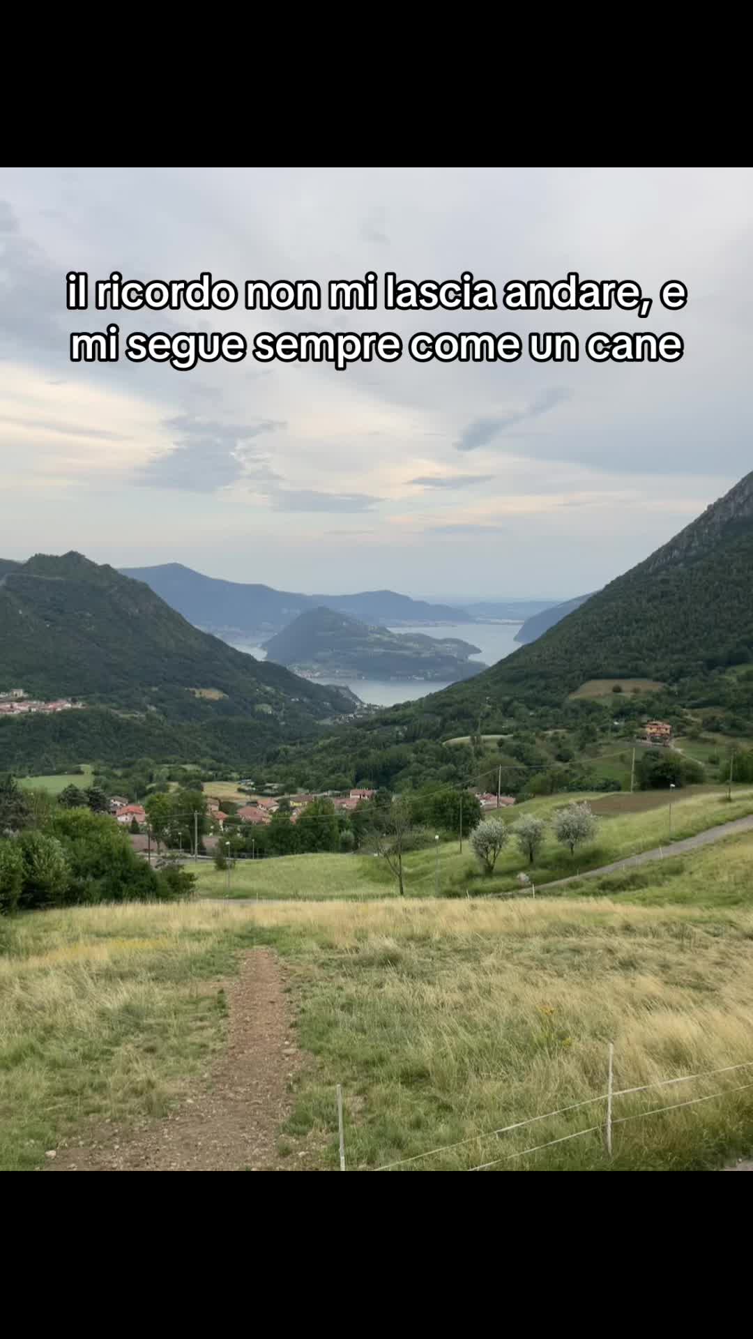 @repost