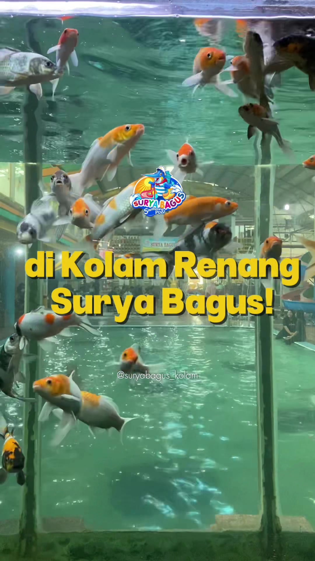 @Kolam Renang "SURYA BAGUS”