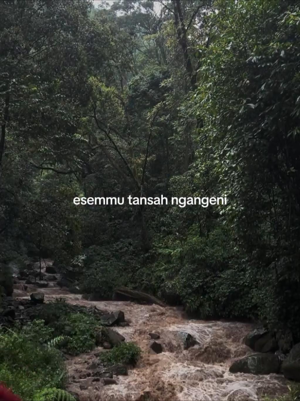 @𝗪𝗮𝗵𝘆𝘂 | 𝐓'𝐖𝐑𝐆