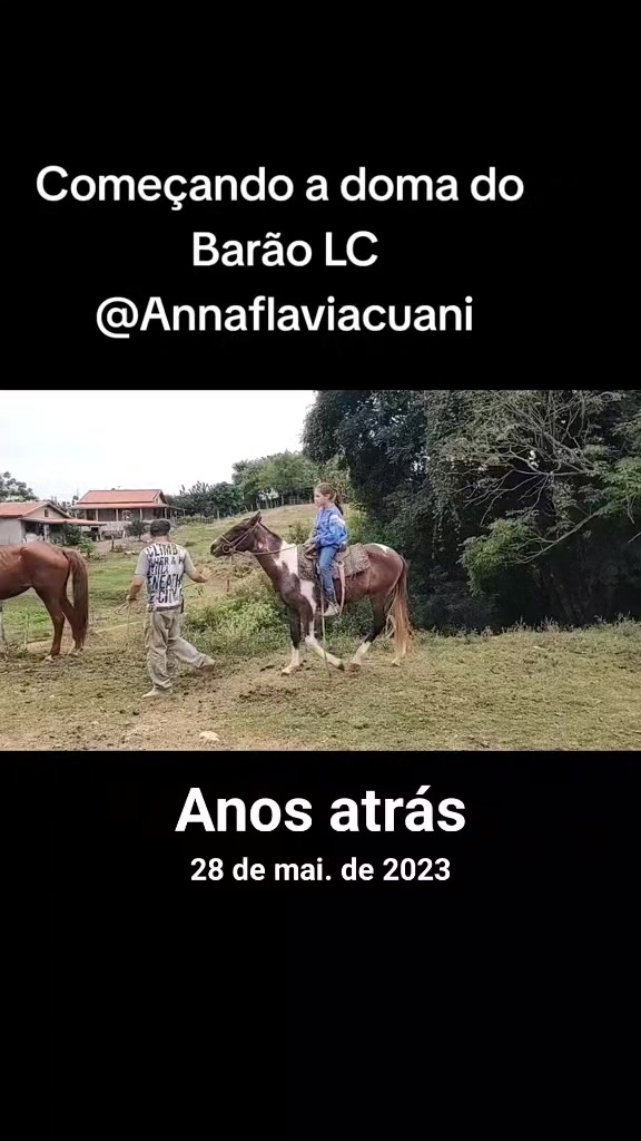 @Luciano Cuani