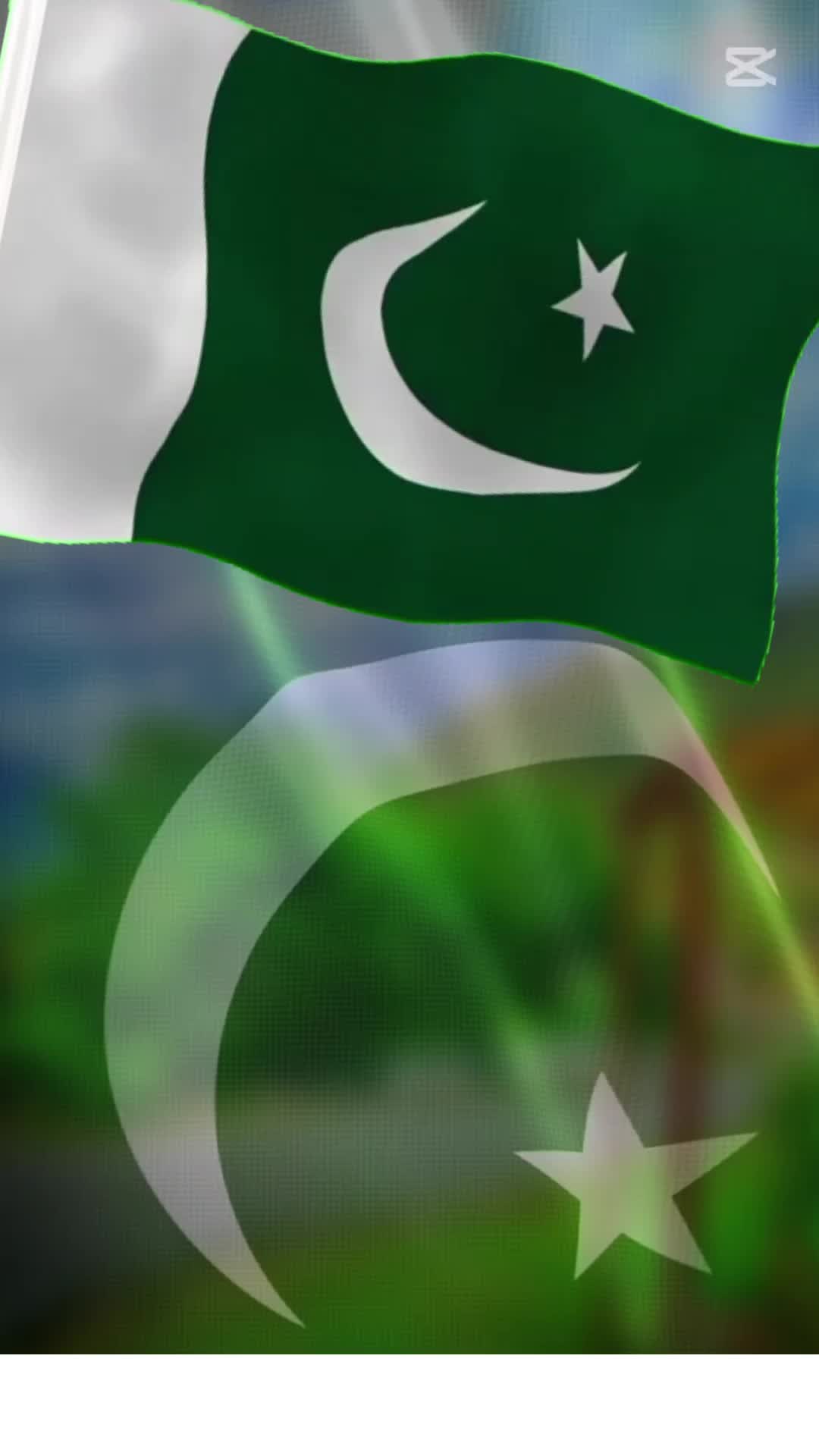 @Malik Kashi