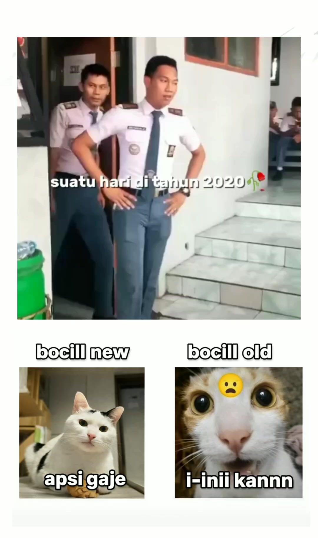 @🄱 🄶 🄼 🄰 🄽 🄽 🎭