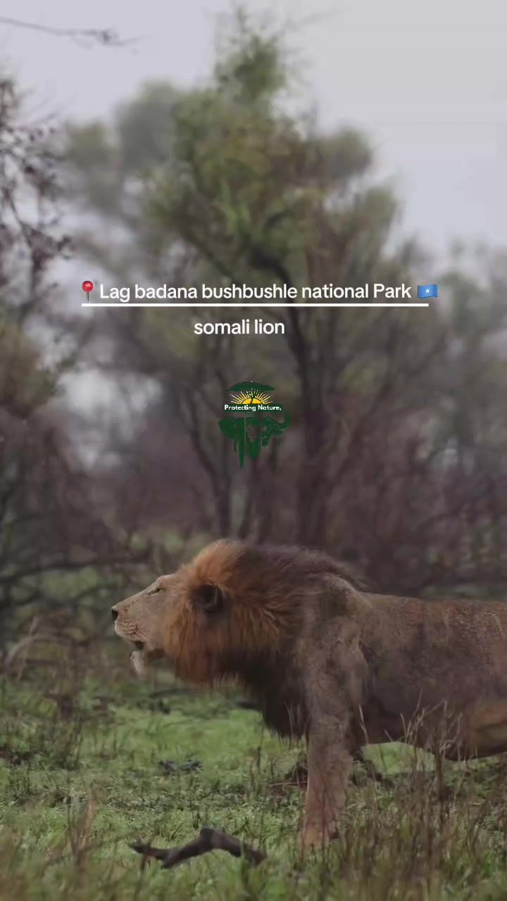 @Lag Badana C conservancy Trust