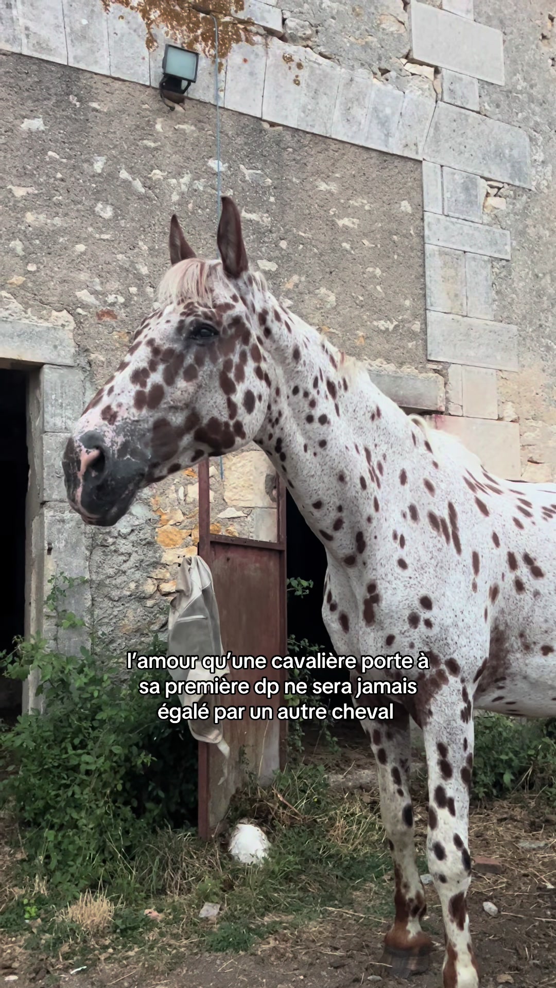 @l&eacute;na