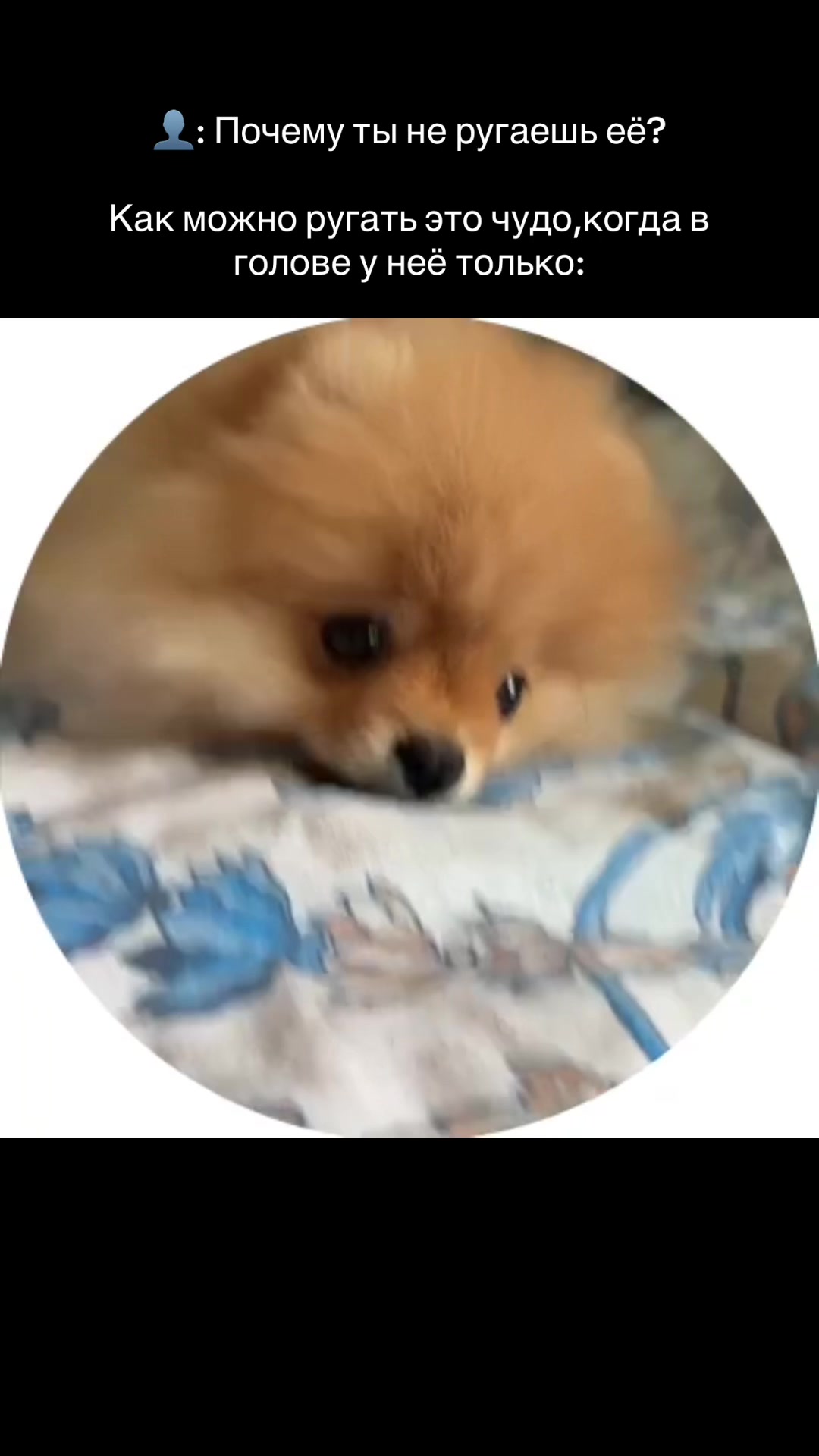 @v