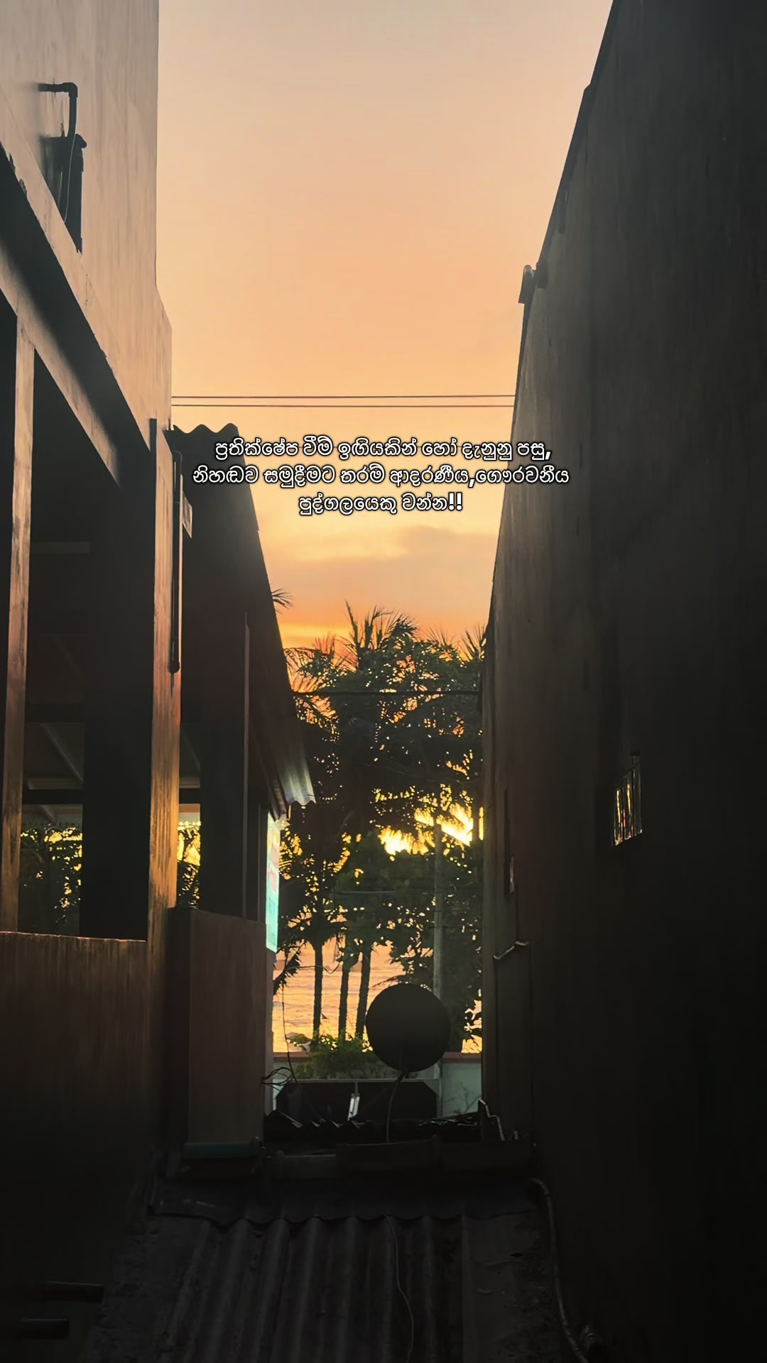 @ꇘ𝕙𝕖𝕨♡