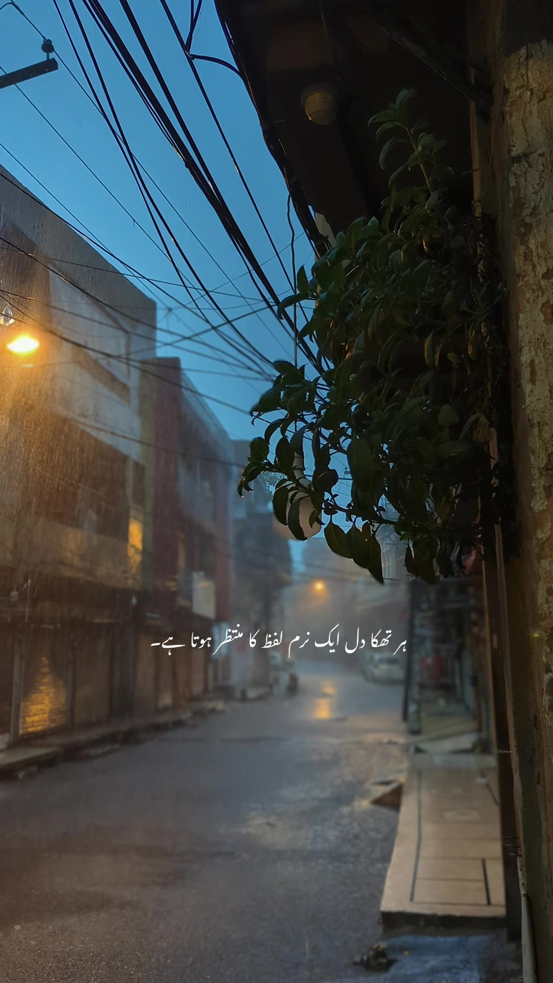 @𝙏 𝘼 𝙇 𝙃 𝘼🫀❤️&zwj;🩹