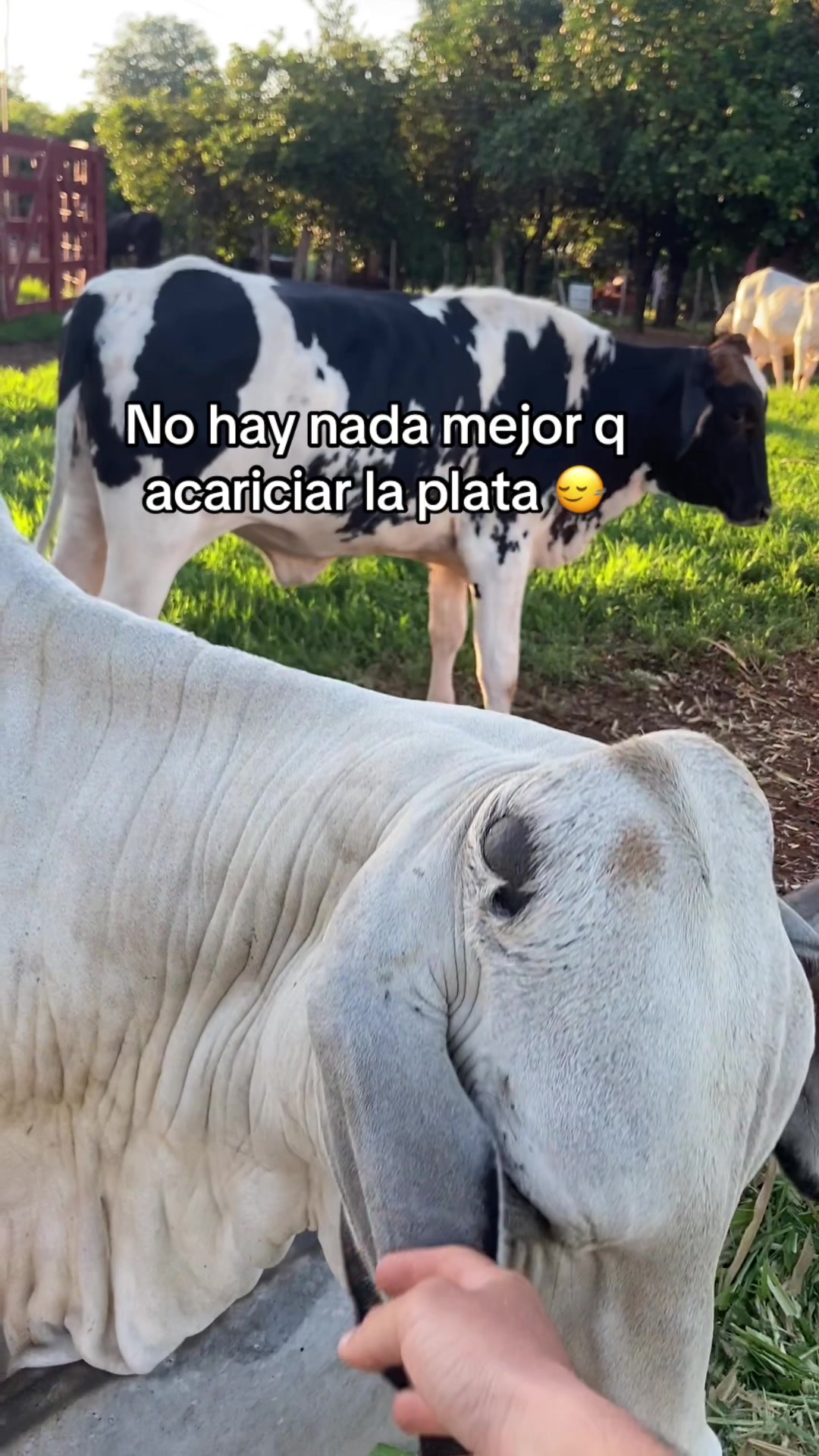 @hugo_blanco