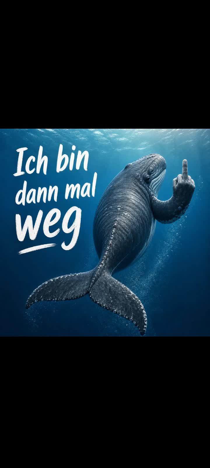 @💚Nadi💚🐋🙏🏼