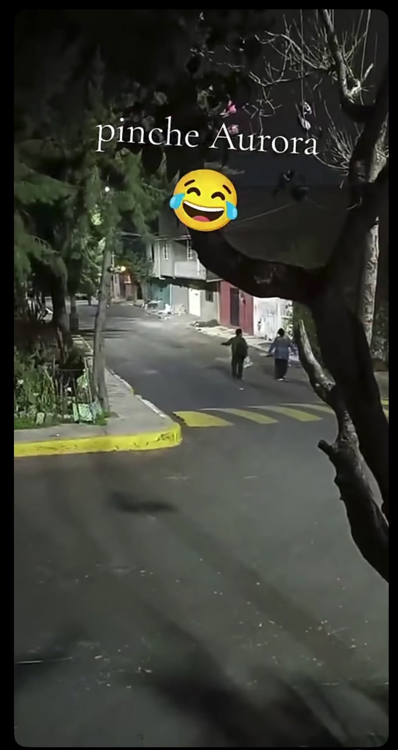 @ᑎᗴǤᖇᗩ Ǥᗩᗝᑎᗩ