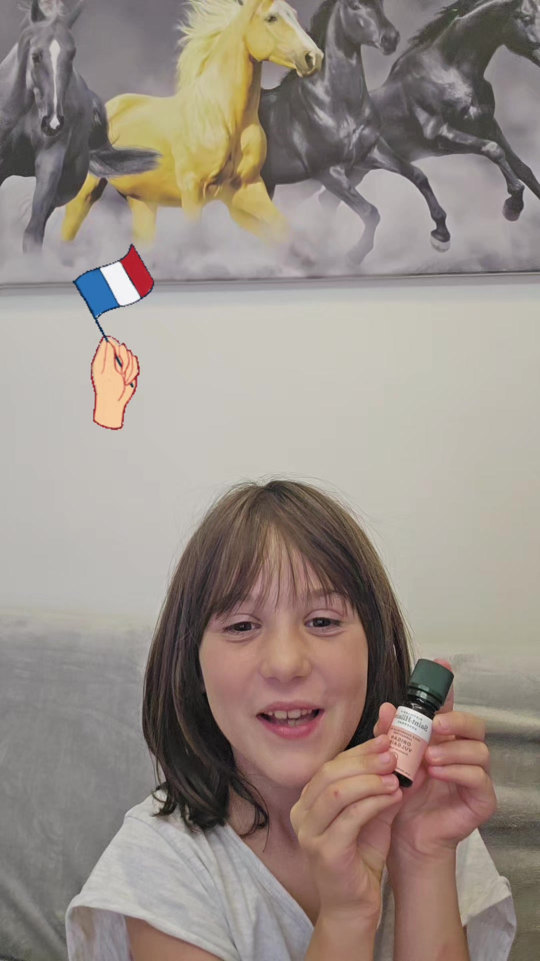 @fabibullati
