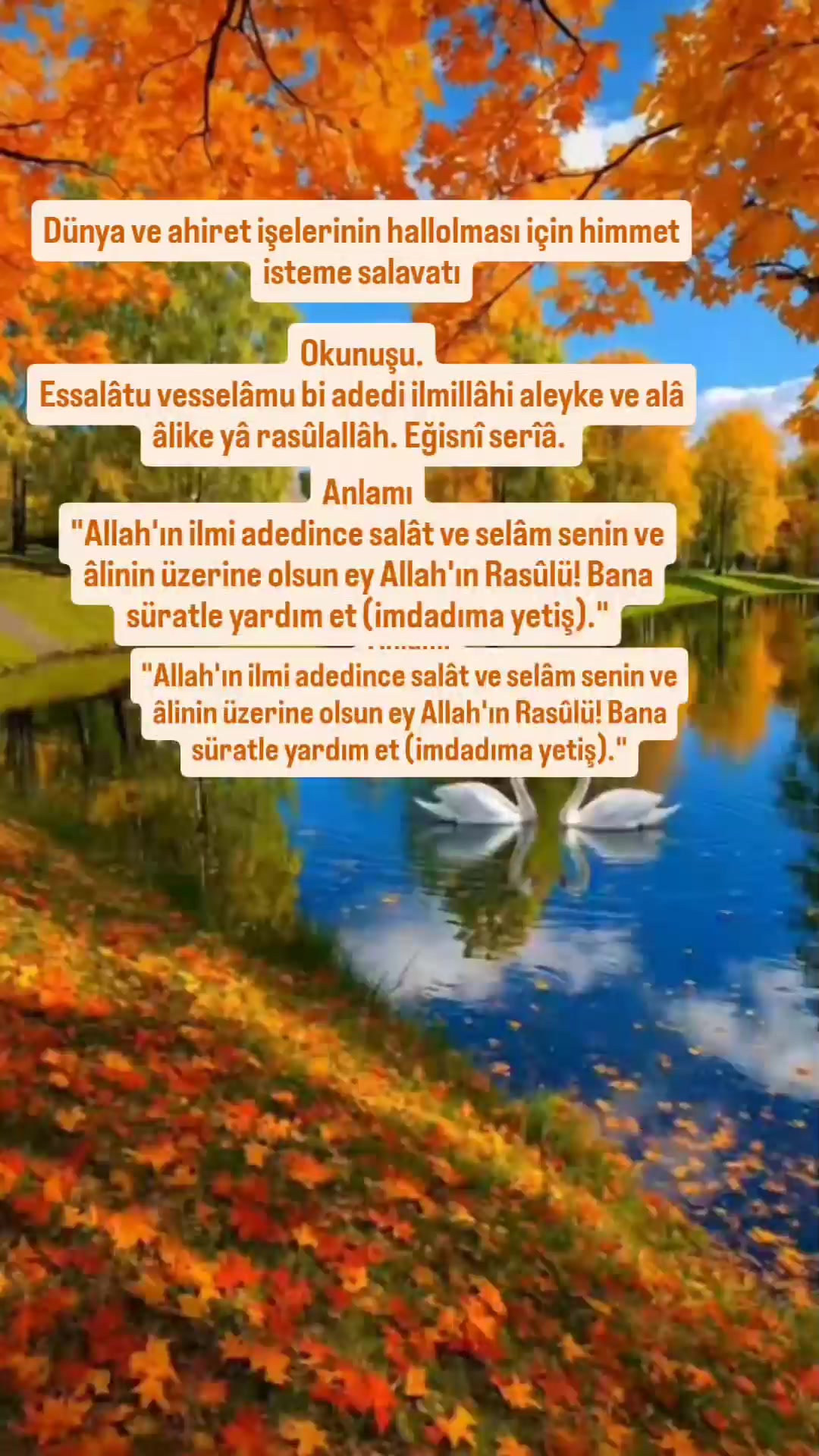 @hayat nereye gidiyor