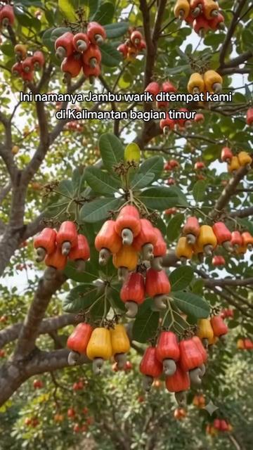 @BANG ARIE 99