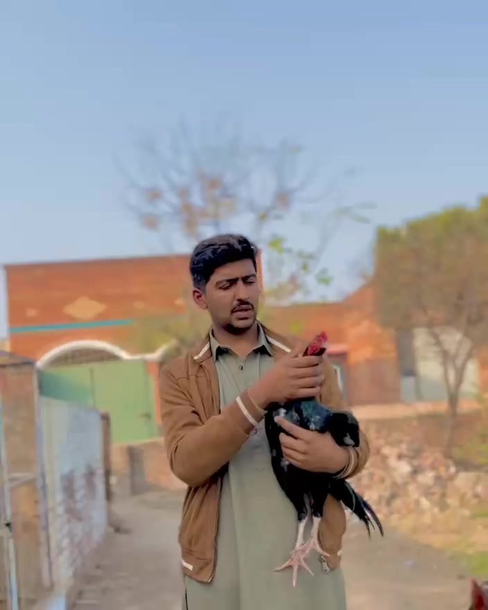 @Aseel 🐓
