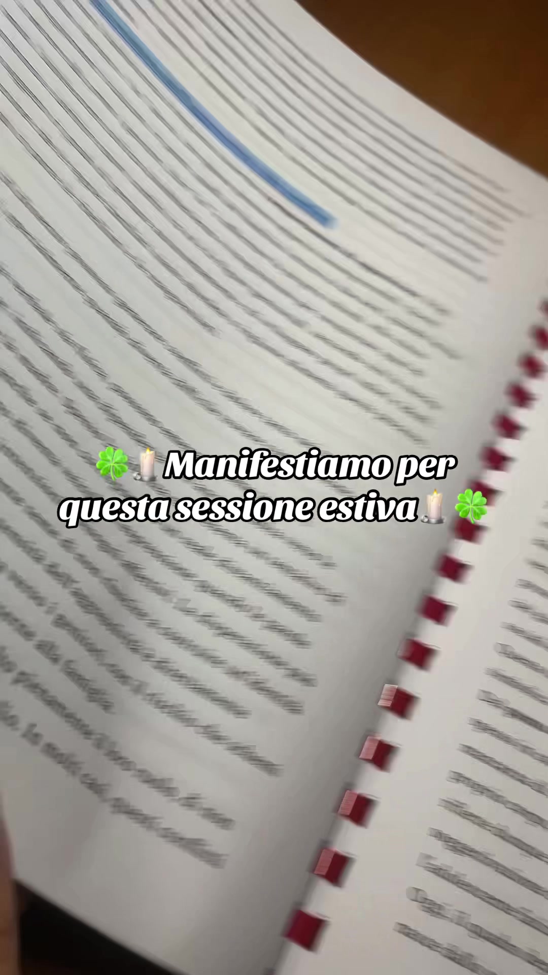@marty_avo