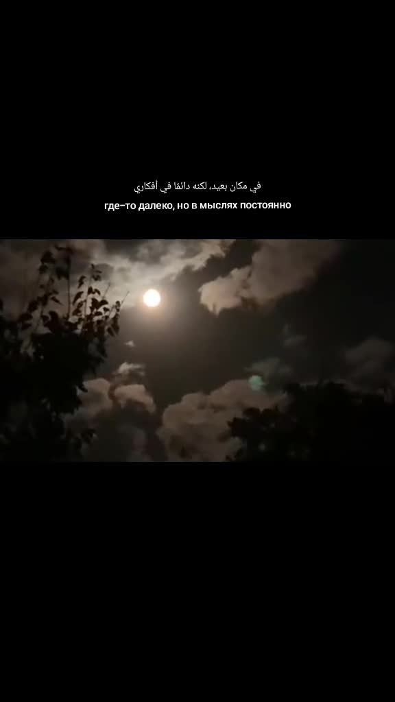 @Tvoy_G1alg1ay_06