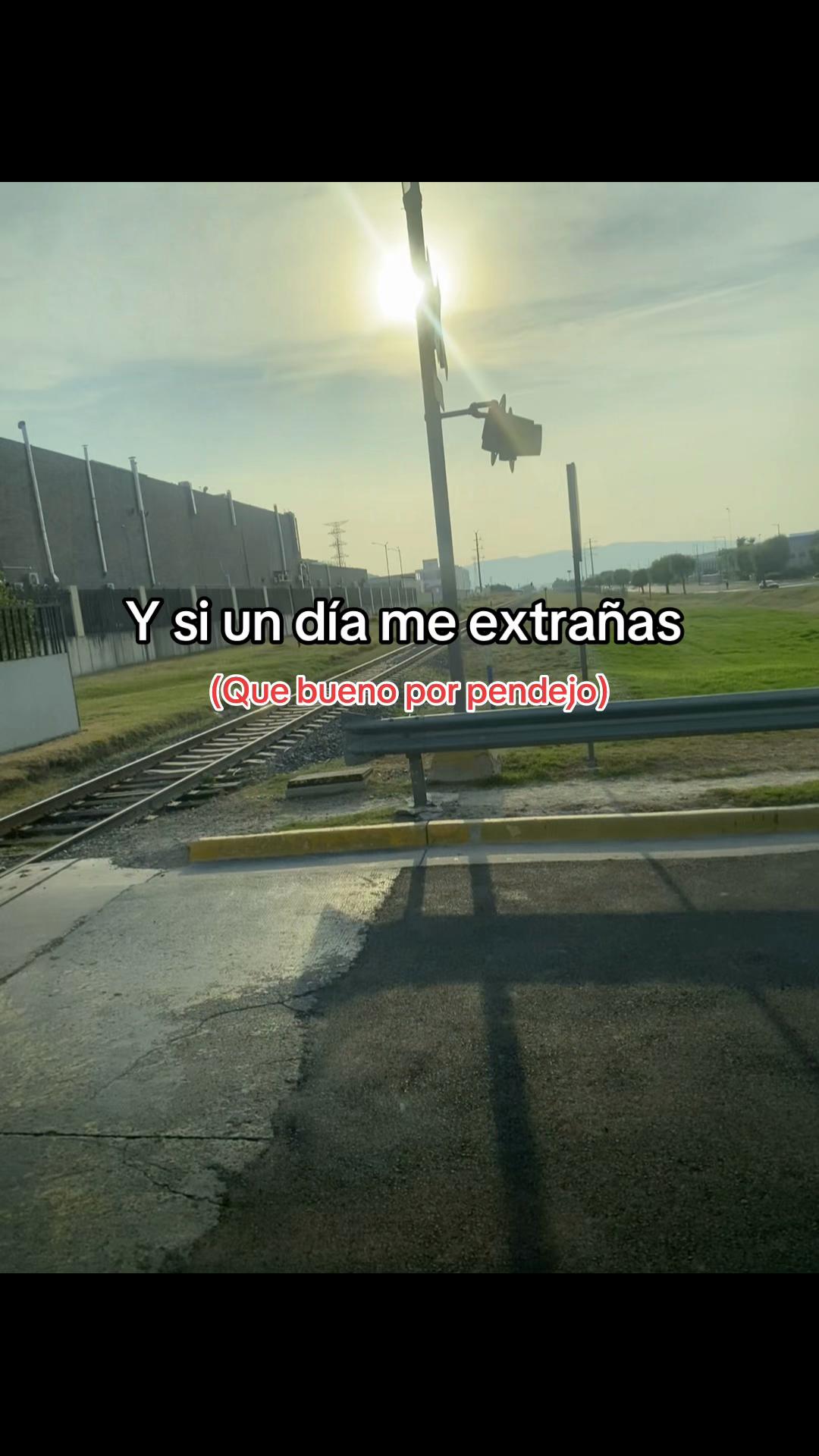 @🪷_Candy_🪷