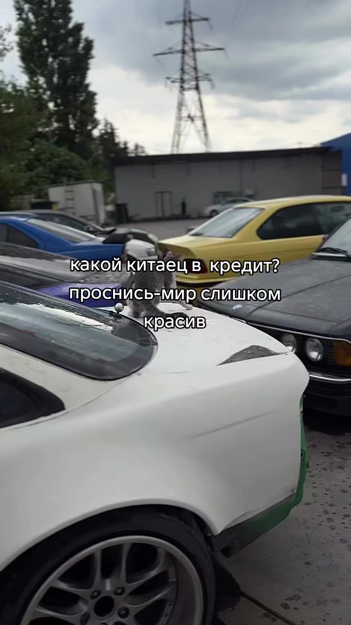 @любите японские некрухи