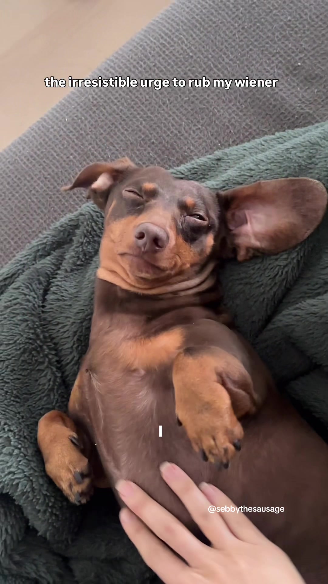@sebbythesausage