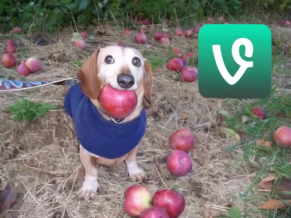 @varioustries